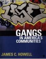 GANGS  <em>IN</em> AMERICA'S <em>COMMUNITIES</em>