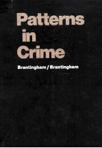 <em>P</em><em>a</em>tterns in crime