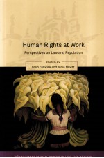 HUM<em>A</em>N RIGHTS <em>A</em>T WORK  <em>PERSPECTIVES</em> <em>ON</em> L<em>A</em>W <em>A</em>ND REGUL<em>A</em>TI<em>ON</em>