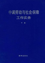 中国劳动与社会保障工作实务  中