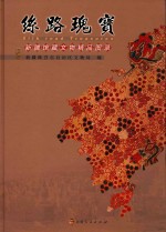 丝路瑰宝  新疆馆藏文物精品图录