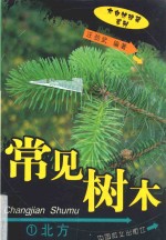 常见树木  1  北方