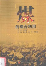 煤的综合利用