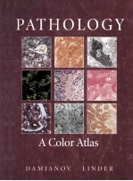 PAT<<em>e</em>m>H</<em>e</em>m>OLOGY  A COLO<<em>e</em>m>R</<em>e</em>m> ATLAS