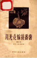<em>月光</em>花嫁接番薯