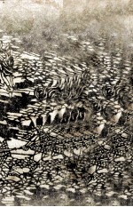 湊<em>川の</em>巻