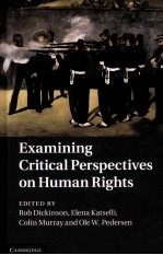 Ex<em>a</em>mining critic<em>a</em>l <em>perspectives</em> <em>on</em> hum<em>a</em>n rights