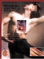 PRINCIPLES OF ANATO<em>M</em>Y AND PHYSIOLOGY  SIXTH EDITION