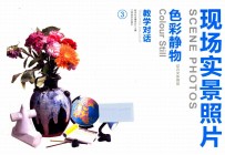 教学对话  色彩静物  花卉文体用品  现场实景照片