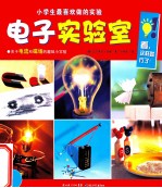 小学生最喜欢做的实验  电子实验室
