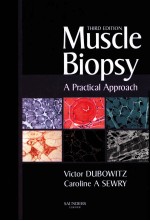 MUSCLE BIOPSY <em>A</em> PR<em>A</em>CTIC<em>A</em>L <em>A</em>PPRO<em>A</em>CH