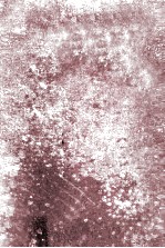 <em>Les</em> femmes fortes
