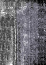 BRONCHOPULMON<em>A</em>RY DISE<em>A</em>SES:<em>B<em>A</em>SIC</em> <em>A</em>SPECTS