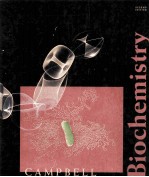 BIOCHEMISTRY  <em>SECOND</em> <em>EDITION</em>