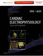 CARDIAC E<em>L</em>ECTROPHYSIO<em>L</em>OGY FROM CE<em>L</em><em>L</em> TO BEDSIDE