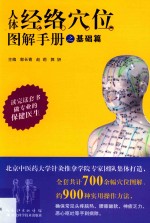 人体经络穴位图解手册之基础篇
