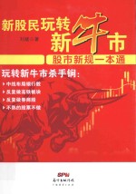 新股民玩转新牛市  股市新规一本通