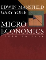 Microeconomic<em>s</em> theory/application<em>s</em>