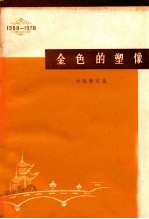 金色的塑像  小说散文选