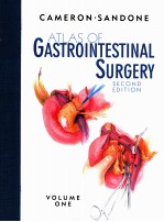 ATLAS <em>OF</em> GASTRO<em>IN</em>TEST<em>IN</em>AL SURGERY SECOND EDITION <em>VOLUME</em> ONE