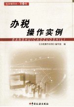 办税<em>操作</em>实例