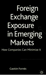 Foreign exchange expo<em>s</em>ure in emerging market<em>s</em> how companie<em>s</em> can minimize it