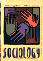 Sociology A <em>Brief</em> <em>Introduction</em>