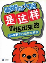 聪明的大脑是这样训练出来的  2-3岁左右脑智能开发