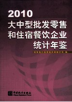 大中型批发零售和住宿餐饮企业统计年鉴  2010