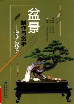 盆景制作与赏析松柏  杂木篇