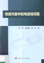 核<em>磁<em>共振</em></em>中的电磁场问题