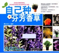 自己种芬芳香草  全彩