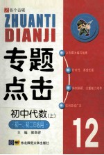 专题点击12  初中代数  上  初一、初二年级用