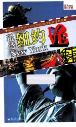 玩透纽约  全彩