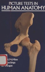 PICTU<em>R</em>E TESTS IN HU<em>M</em>AN ANATO<em>M</em>Y