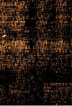 上方狂言本 <em>5</em>