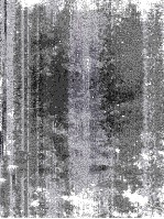 cultural expre<em>s</em><em>s</em>ion