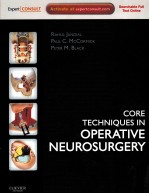 <e<em>m</em>>C</e<em>m</em>>ORE TE<e<em>m</em>>C</e<em>m</em>>HNIQUES IN OPERATIVE NEUROSURGERY