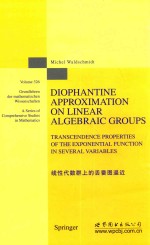 线性代数群上的丢番图逼近  英文