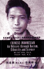 Chinese-Indonesian : an odyssey <em>through</em> racism