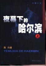 夜幕<em>下</em>的哈尔滨  <em>下</em>