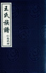 <em>王氏</em>族谱  仁卷<em>2</em>册