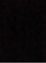 <em>The</em> New Encyclopaedia Britannica; volume 3 founded 1768 15th edition