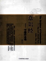 意识经  宁磊作品选