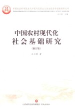 中国农村现代化社会基础研究  修订版