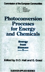 photoconversion processes for energy <em>and</em> chemicals