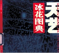 天艺  冰花图典