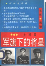 军旗<em>下</em>的将星  上将篇  <em>下</em>