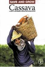 SAVE AND GROW:CASSAVA AGUIDE TO SUSTAINABLE PRODUCTION <em>INTENSIFICATION</em>