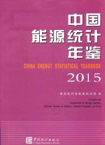 中国能源<em>统计</em>年鉴  2015  汉英对照